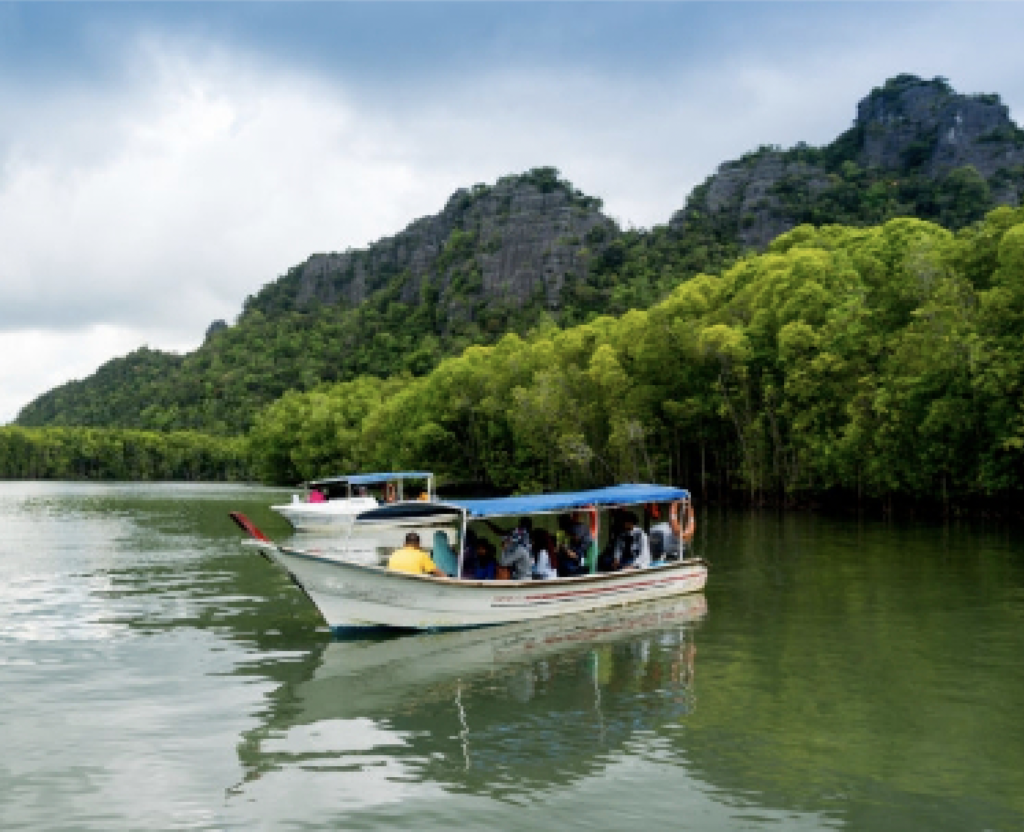 mangrove tree tours & travel eldoret